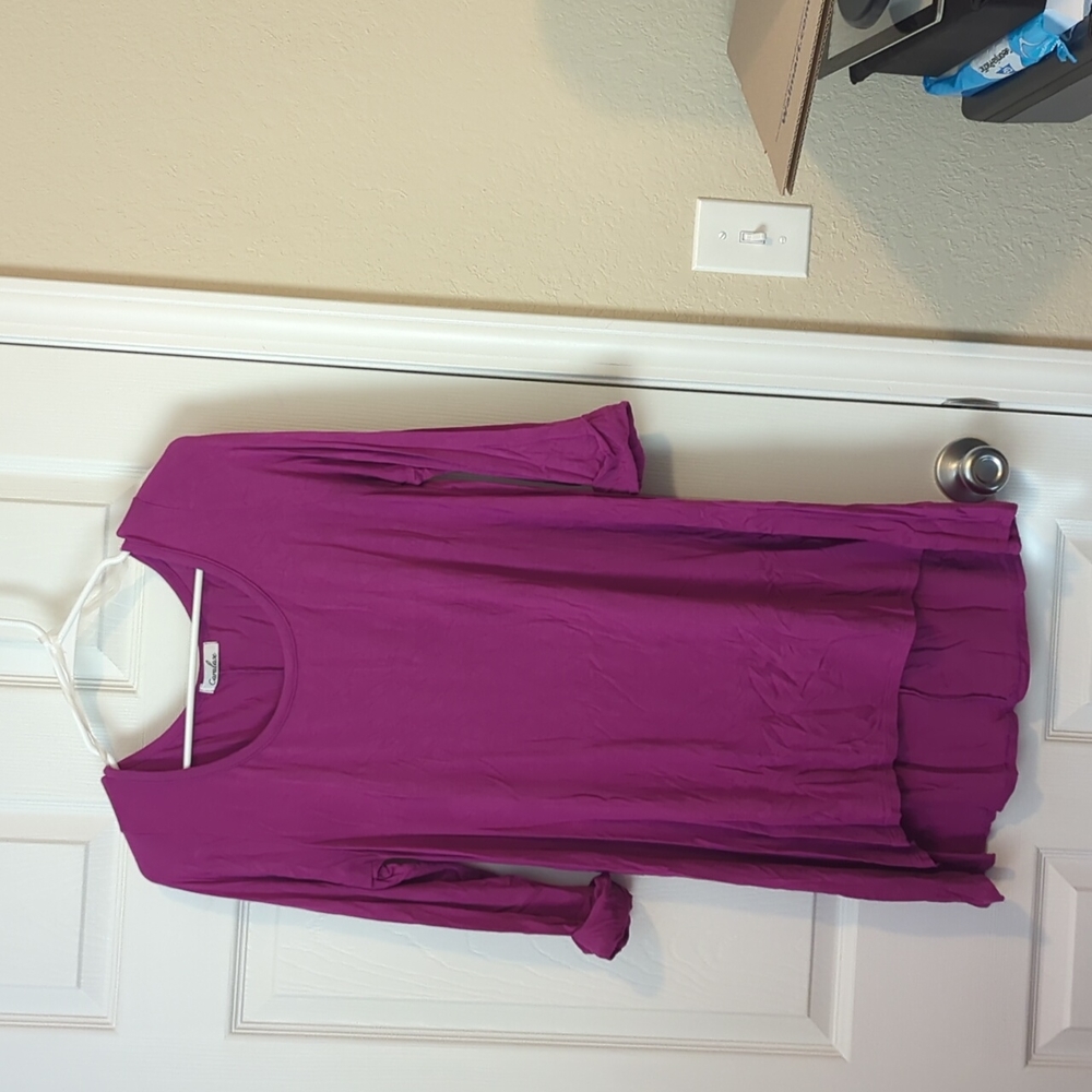 Caralase Tunic purple
